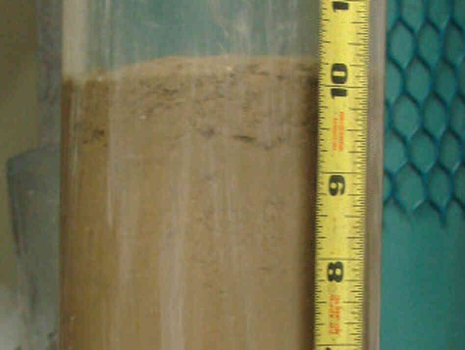 A control core sample, which shows no oil deposit. A control core sample, which shows no oil deposit.